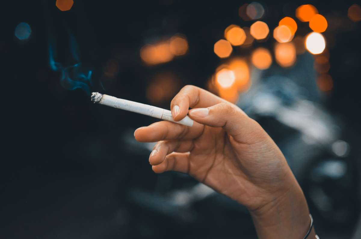 A Beginner's Guide to Smoke Accessories: Must-Haves for Every Enthusiast